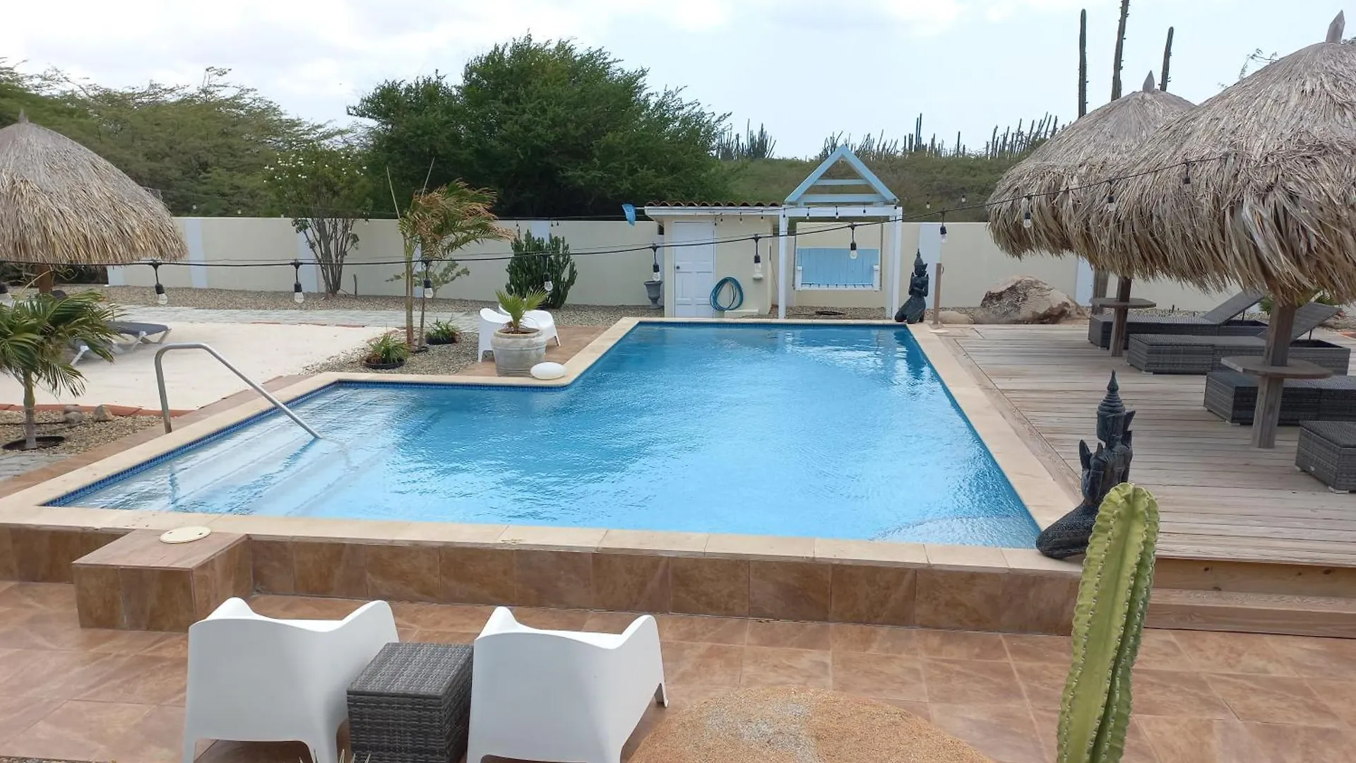 Pura Vida Aruba Appartement Papaya ノールト アルバ