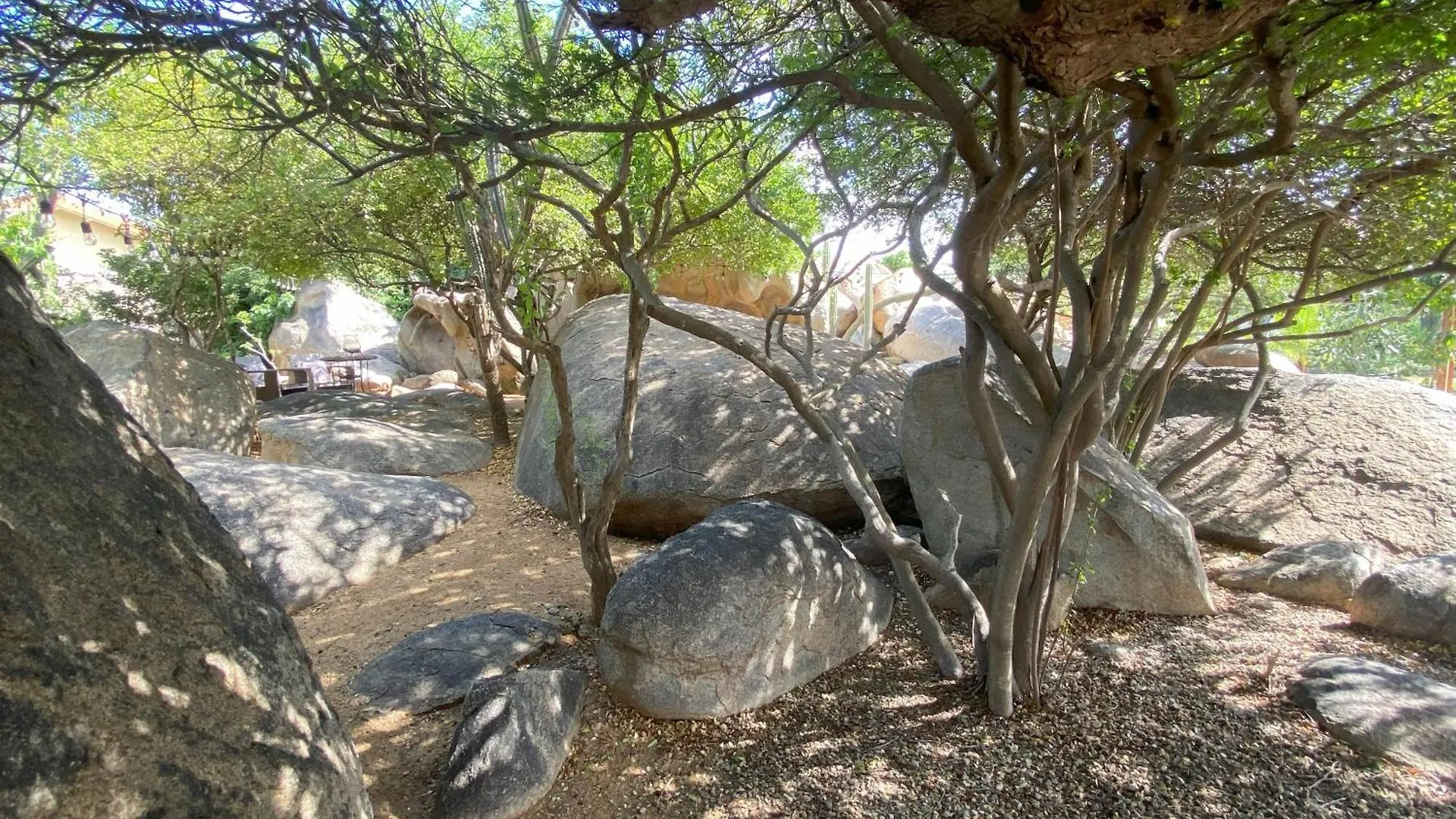 Pura Vida Aruba Appartement Papaya ノールト アパート