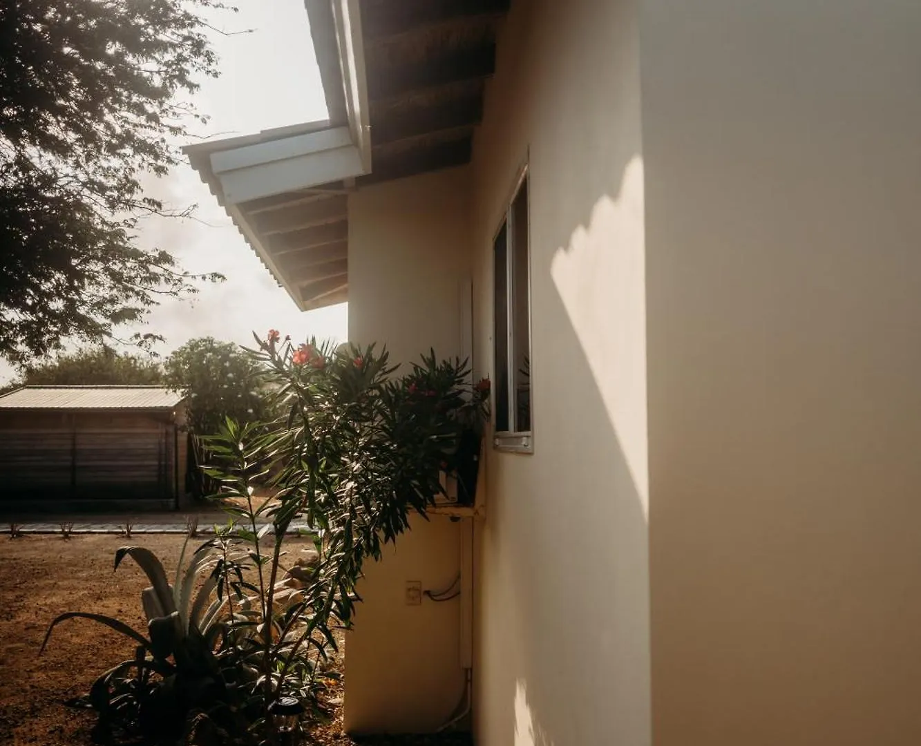 Pura Vida Aruba Appartement Papaya ノールト
