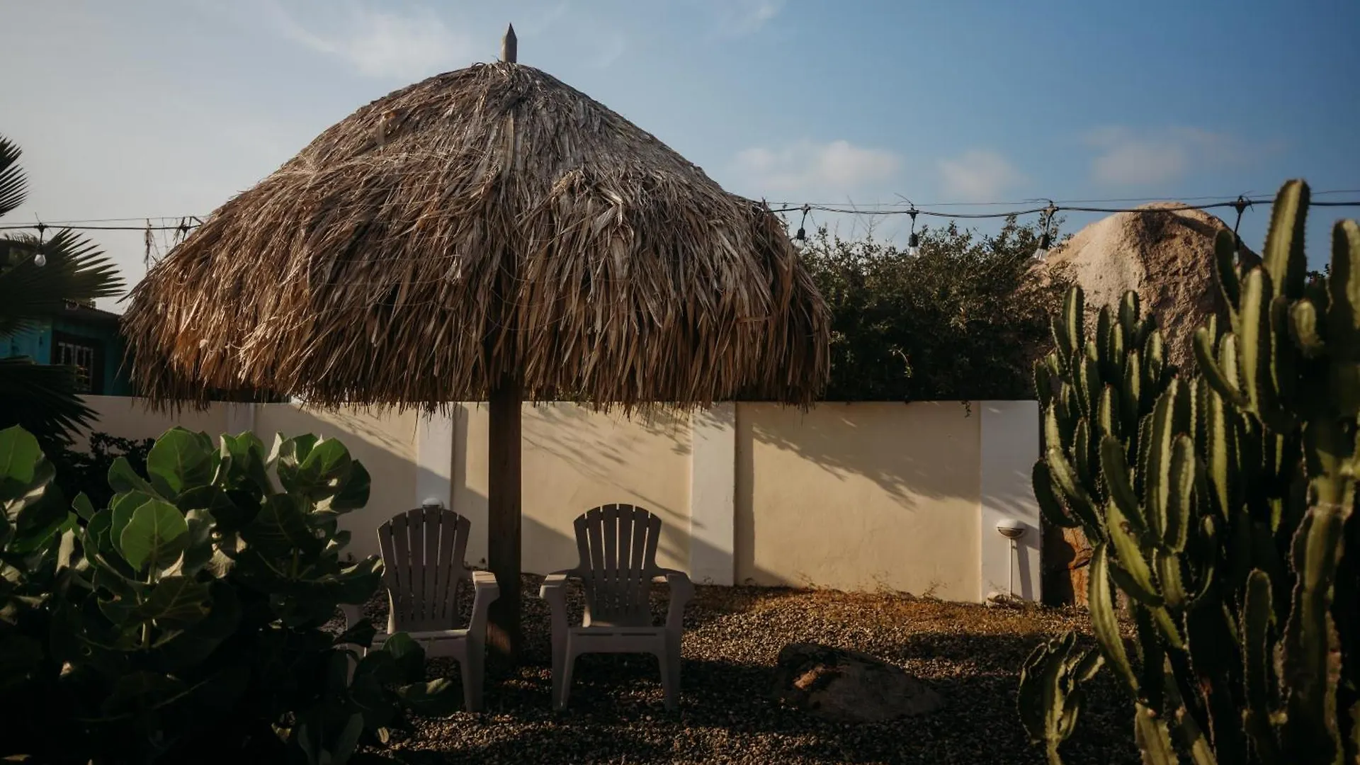 Pura Vida Aruba Appartement Papaya ノールト