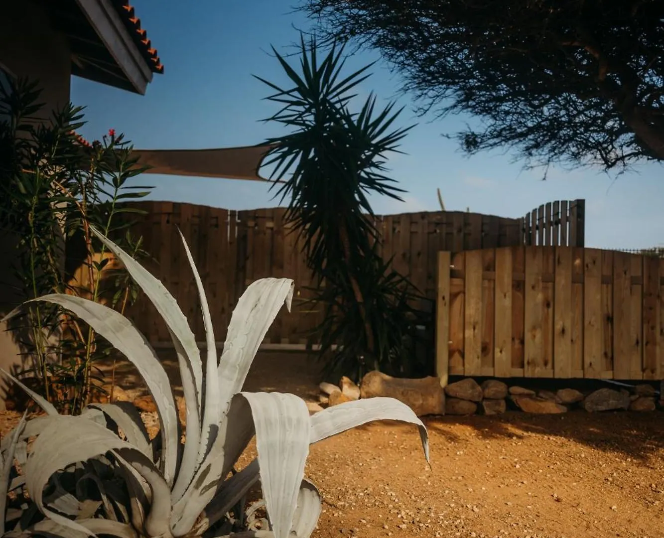 Pura Vida Aruba Appartement Papaya ノールト アパート