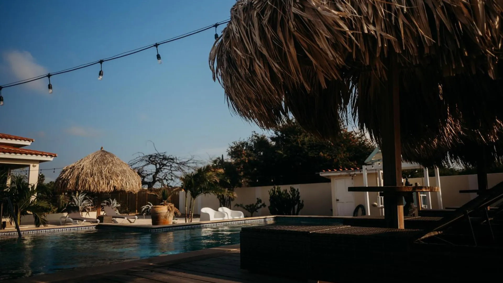 アパート Pura Vida Aruba Appartement Papaya ノールト