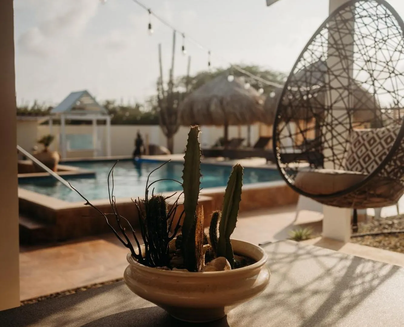 Pura Vida Aruba Appartement Papaya ノールト アパート