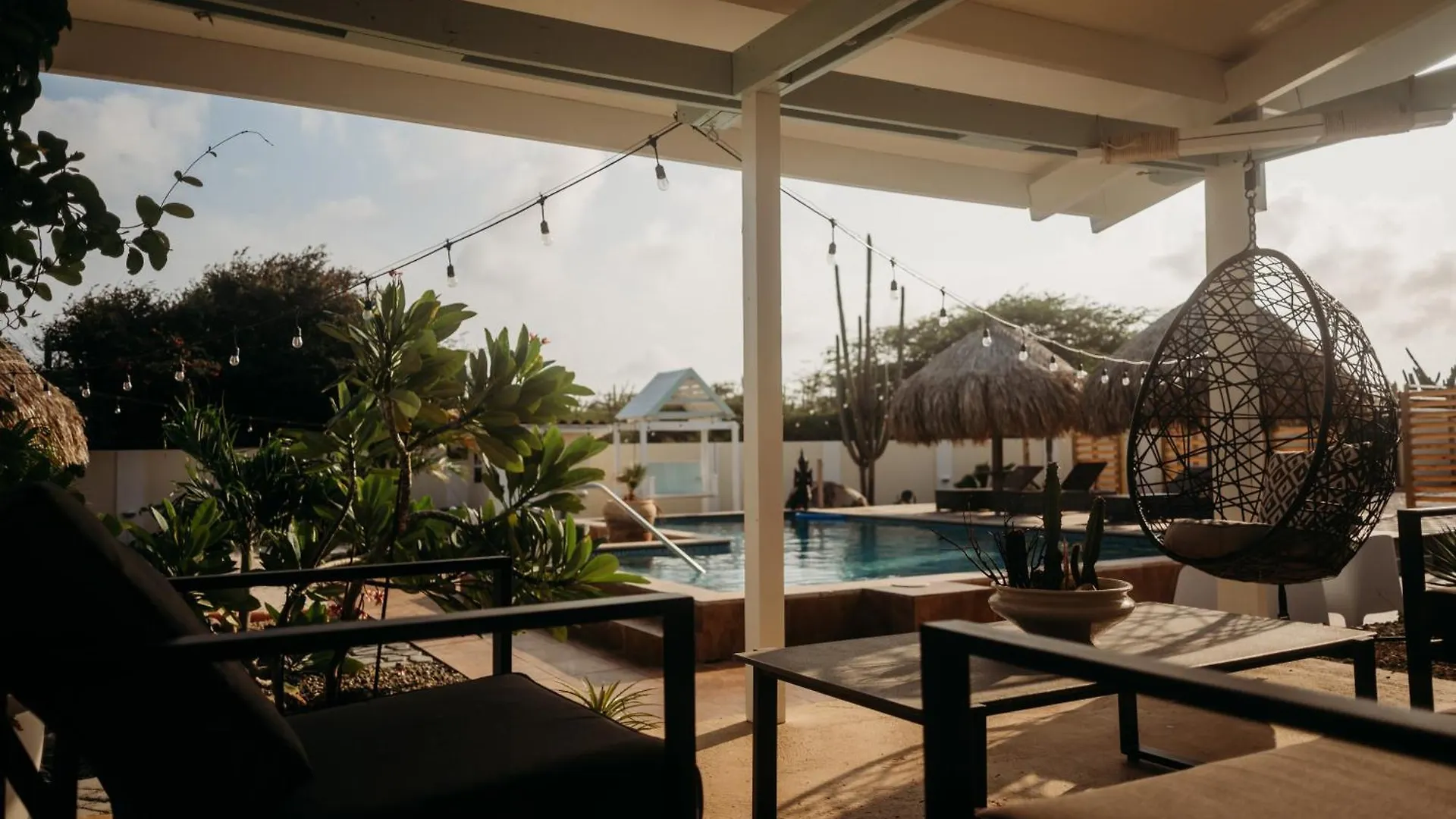 アパート Pura Vida Aruba Appartement Papaya ノールト