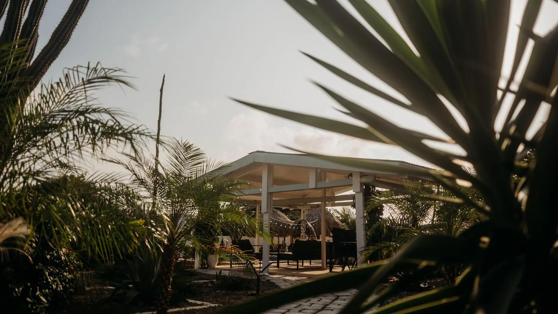 Pura Vida Aruba Appartement Papaya ノールト 0*,