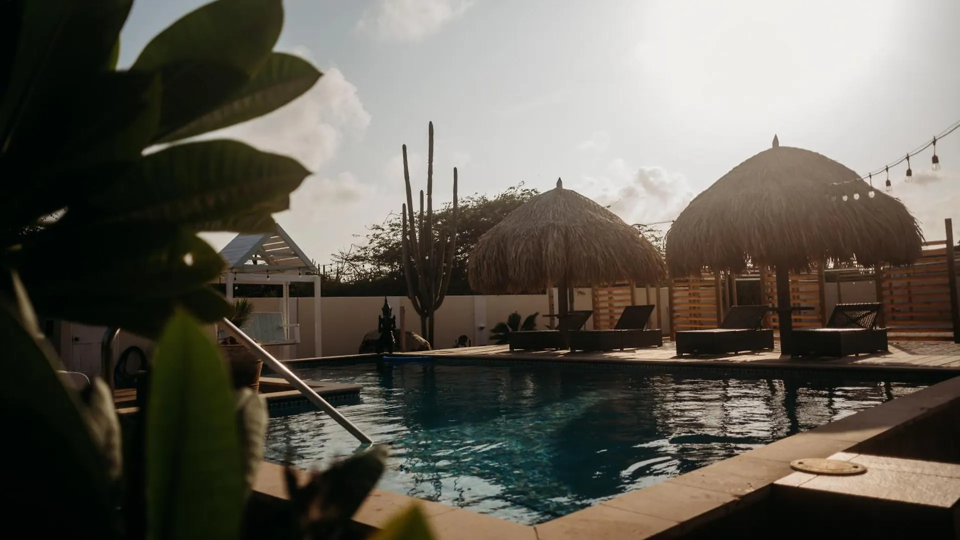 Pura Vida Aruba Appartement Papaya ノールト アパート